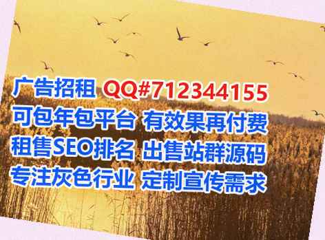 思茅代妈广告公司